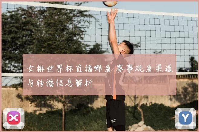女排世界杯直播哪看 赛事观看渠道与转播信息解析