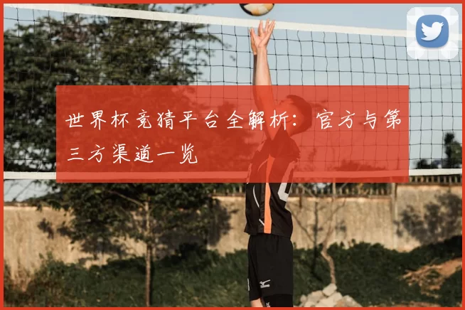 世界杯竞猜平台全解析：官方与第三方渠道一览
