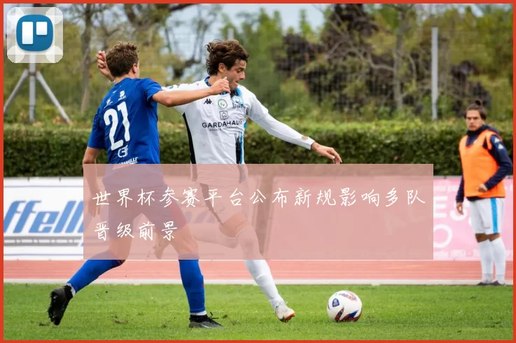 世界杯参赛平台公布新规影响多队晋级前景
