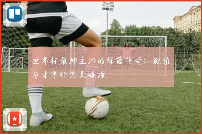 世界杯最帅主帅的绿茵传奇:颜值与才华的完美碰撞