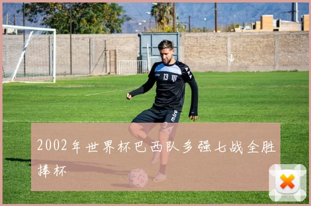 2002年世界杯巴西队多强七战全胜捧杯
