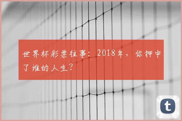 世界杯彩票往事：2018年，你押中了谁的人生？
