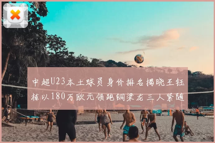 中超U23本土球员身价排名揭晓王钰栋以180万欧元领跑铜梁龙三人紧随其后