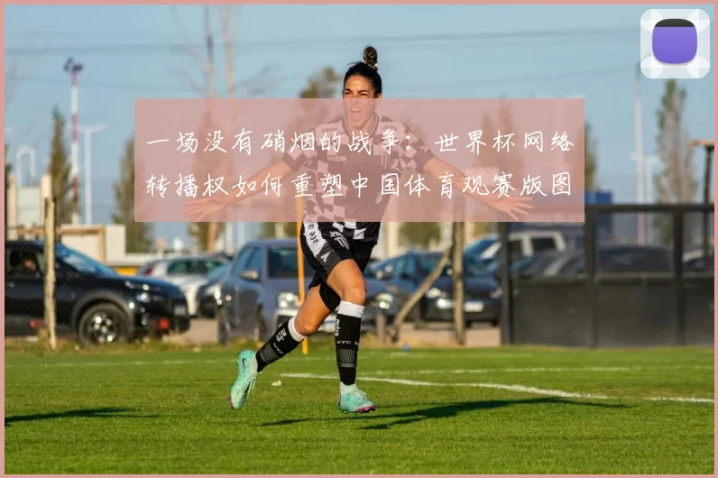 一场没有硝烟的战争：世界杯网络转播权如何重塑中国体育观赛版图。