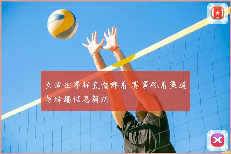 女排世界杯直播哪看 赛事观看渠道与转播信息解析