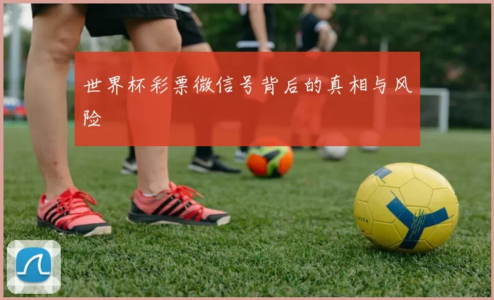 世界杯彩票微信号背后的真相与风险