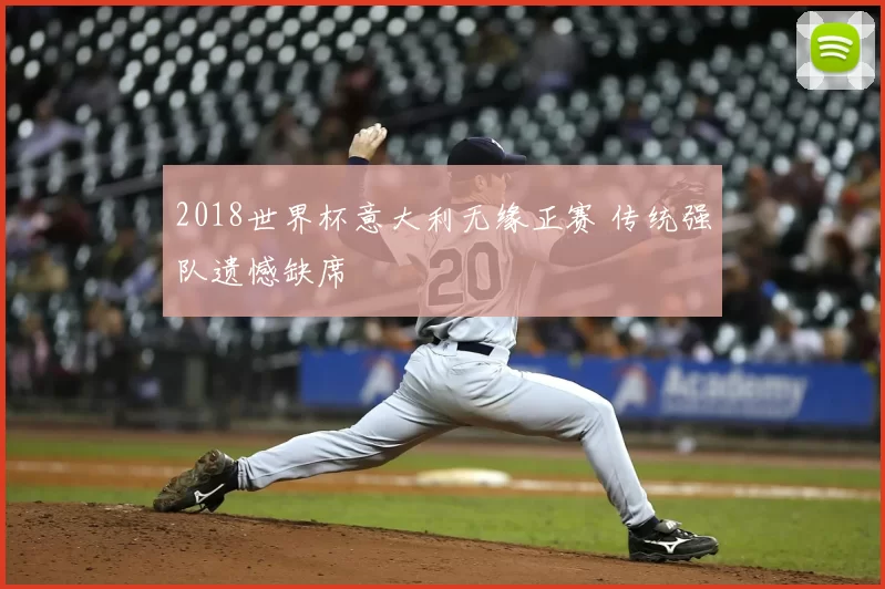 2018世界杯意大利无缘正赛 传统强队遗憾缺席