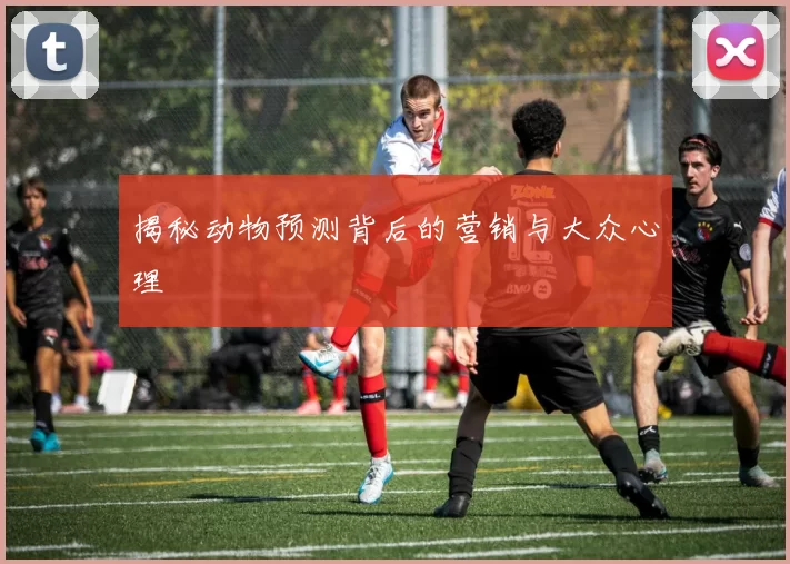 揭秘动物预测背后的营销与大众心理